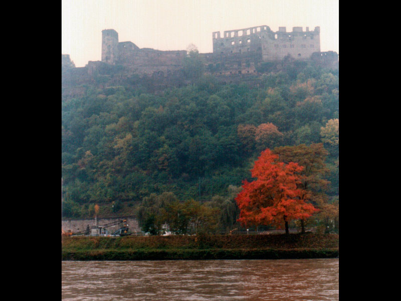 Heidelberg4