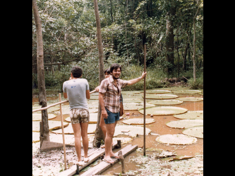 manaus2