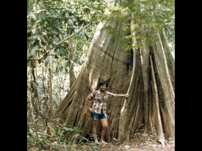 manaus3