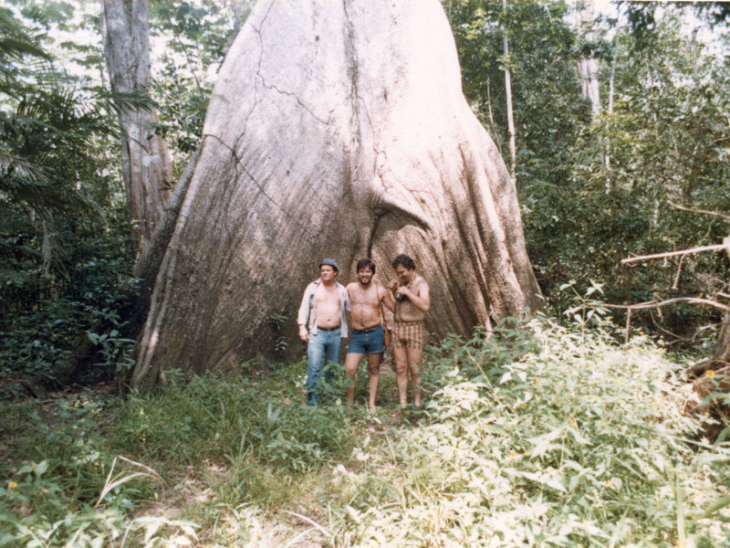 manaus4